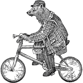 BEAR 1